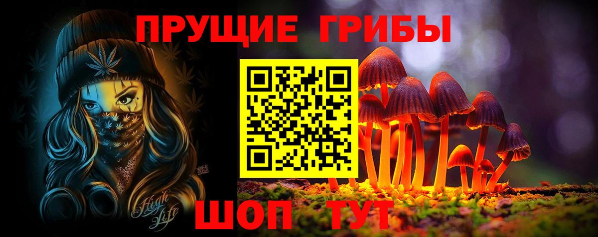 Дзержинск  Галлюциногенные грибы Magic Shrooms  Вход с VPN  Псилоцибиновые грибы Psilocybine cubensis 